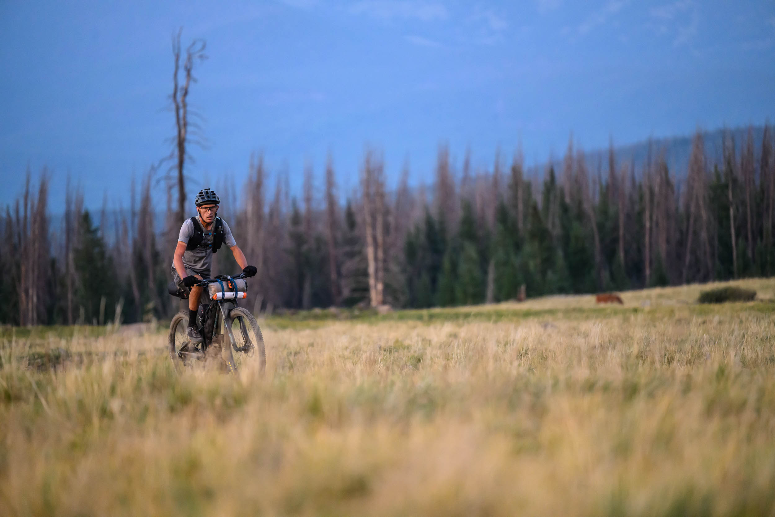 2026 Colorado Trail Race