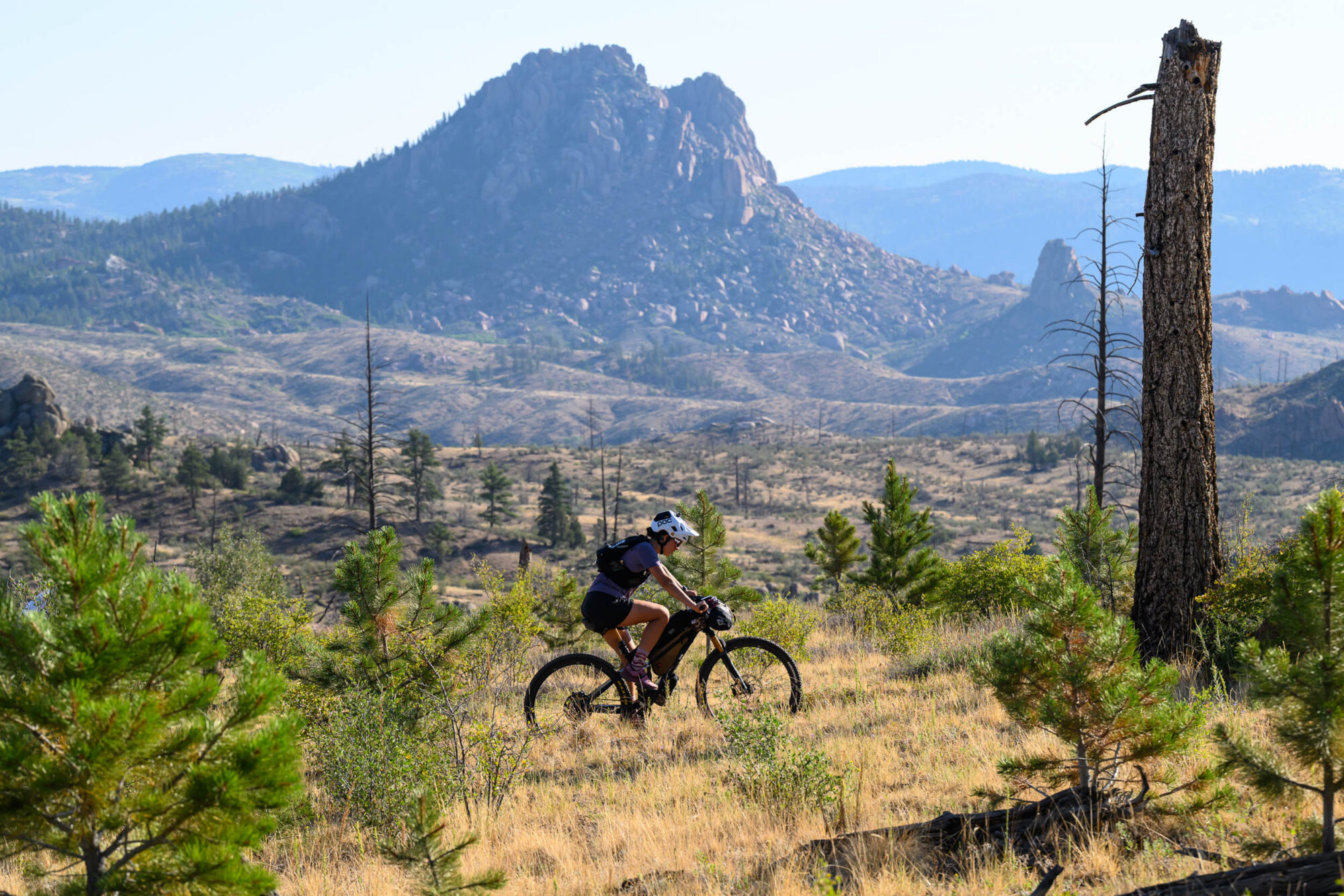 2026 Colorado Trail Race