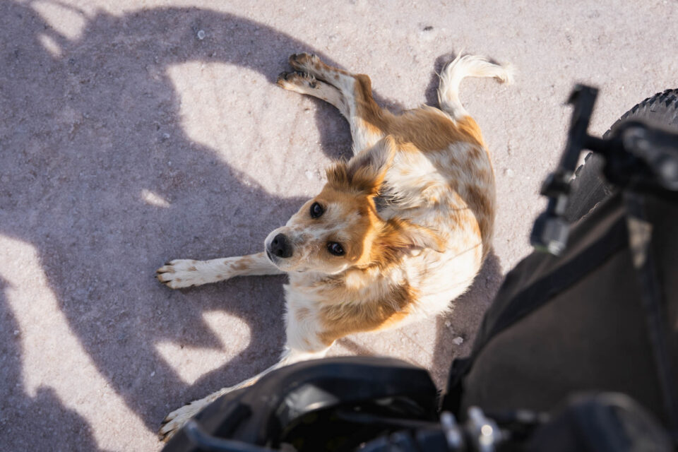 Bikepacking Salar de Uyuni