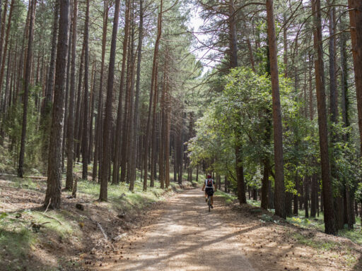 Estrets d'Arnes Loop
