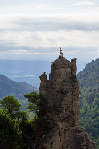 Estrets d'Arnes Loop