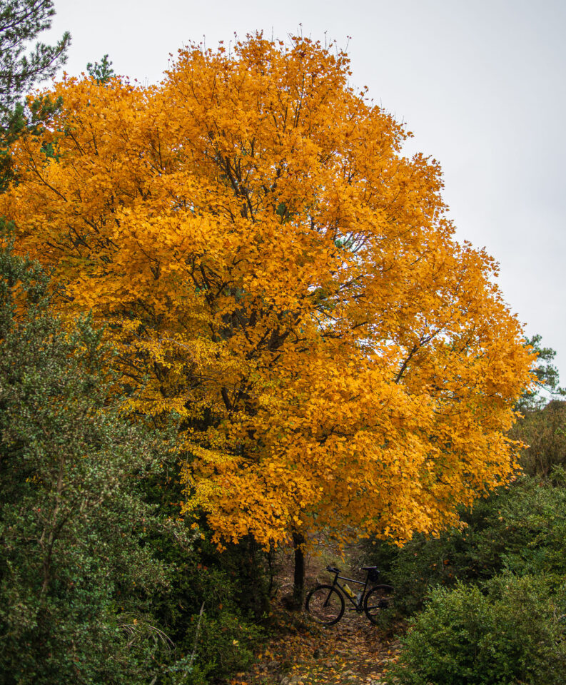 Estrets d'Arnes Loop