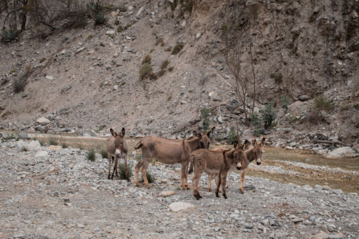 La Travesia Oriental Bikepacking Route
