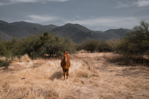 La Travesia Oriental Bikepacking Route