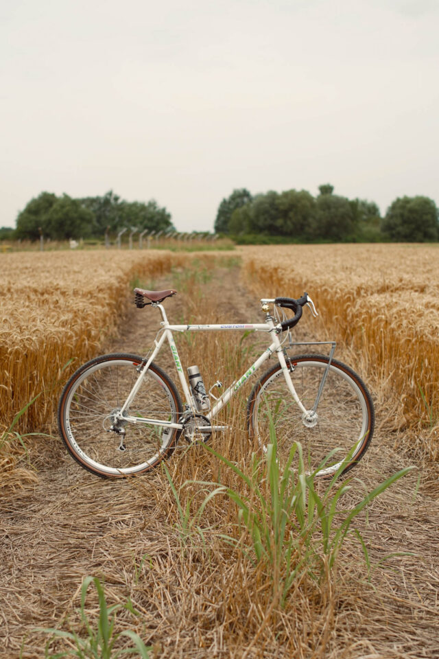Giant Custom 1000