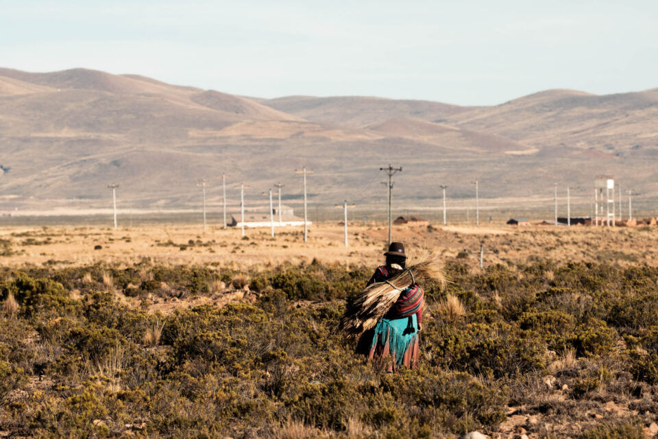 Bikepacking Mama Coca Bolivia
