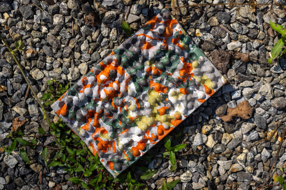 NEMO Foam Chipper Sit Pad, Summer Editors Dozen Nic Morales