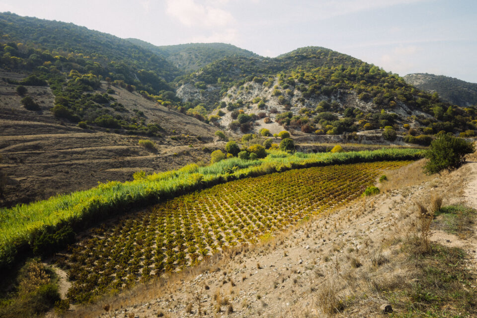 bikepacking Cyprus Marek Švančara