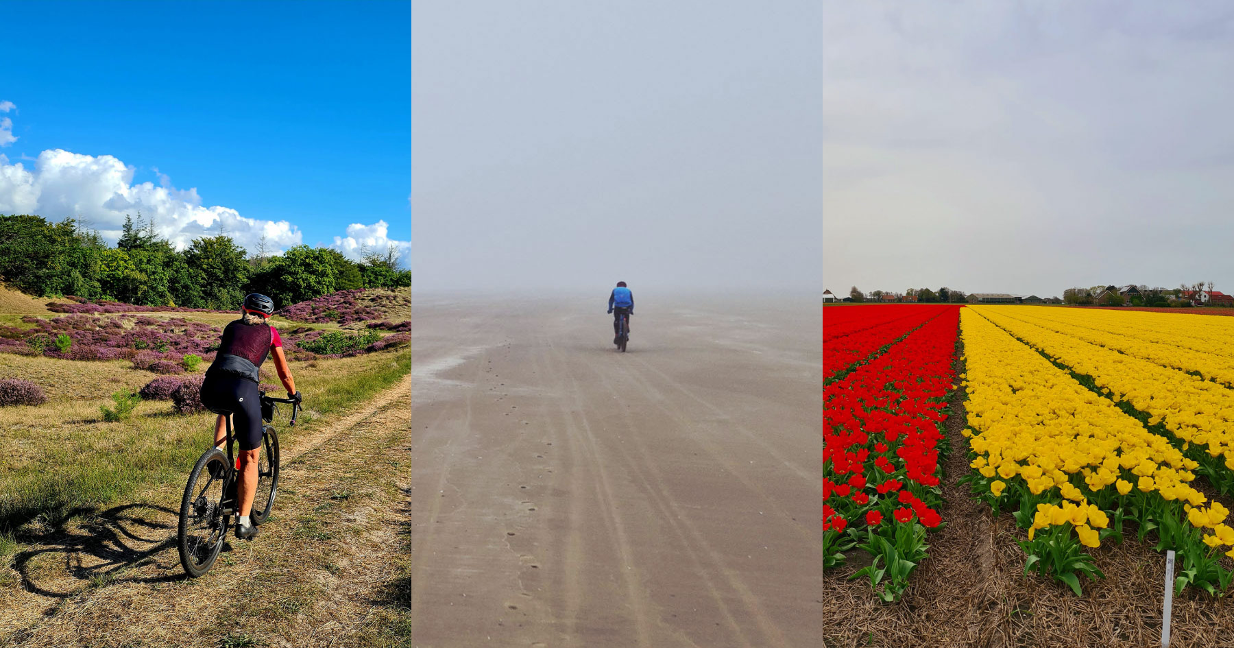 Dutch Coast Overnighter