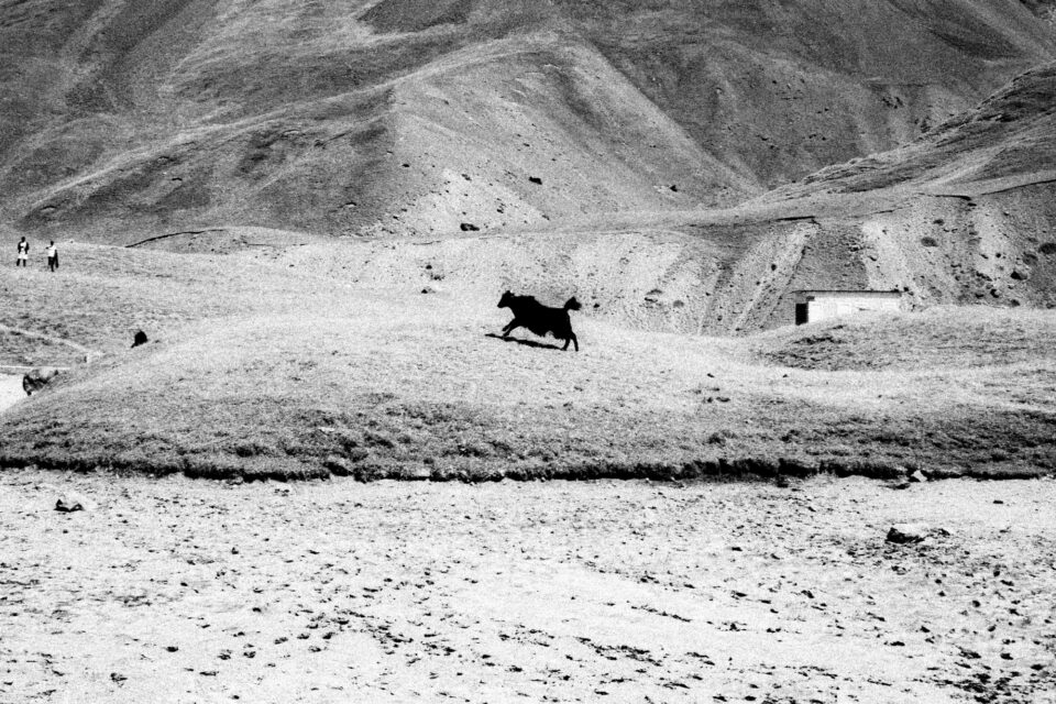How The Mountain Races Changed Ultra Distance Racing (Video)