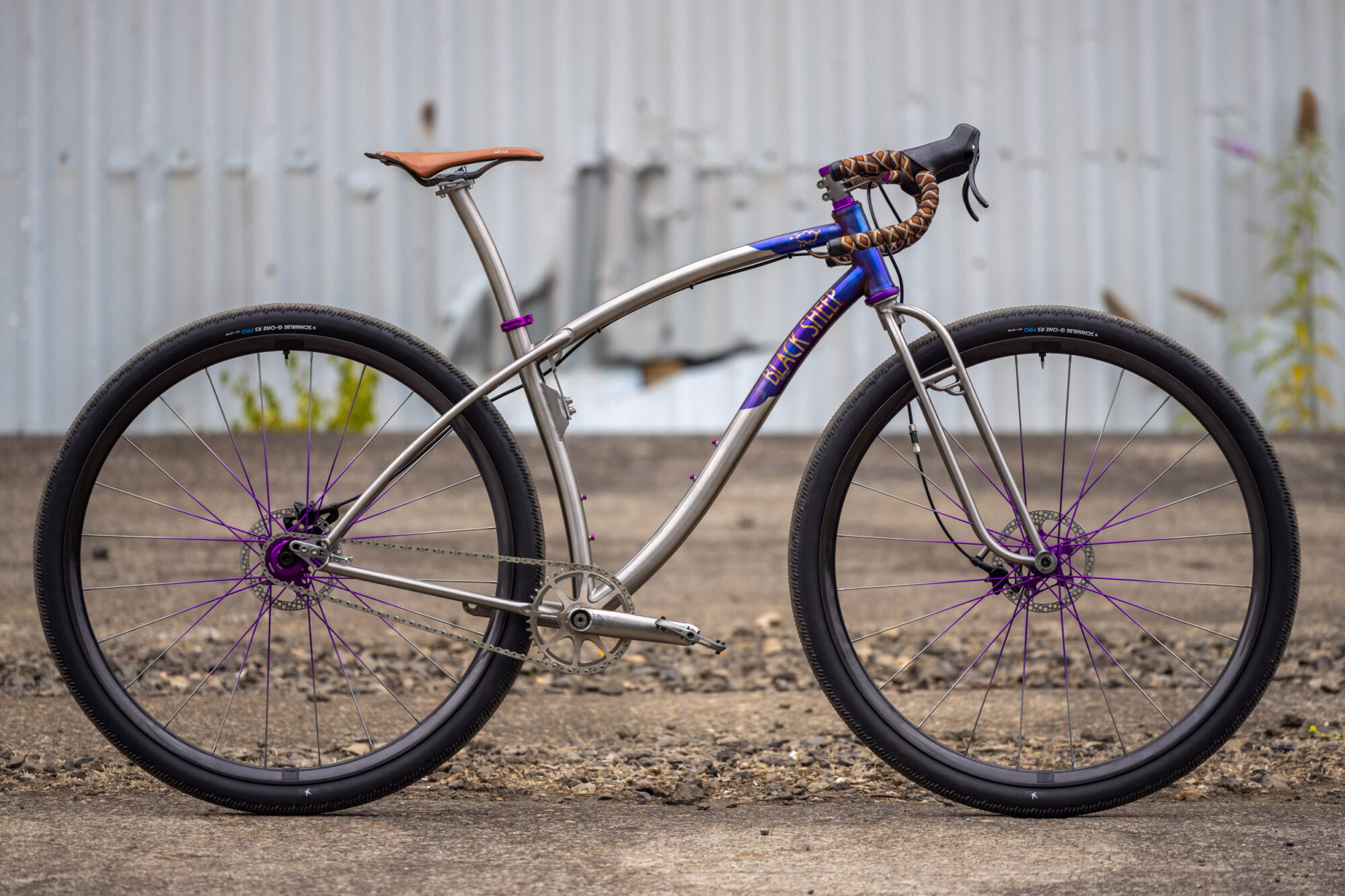 Bikes and Builders of MADE 2026 (Part 4), Black Sheep Bikes