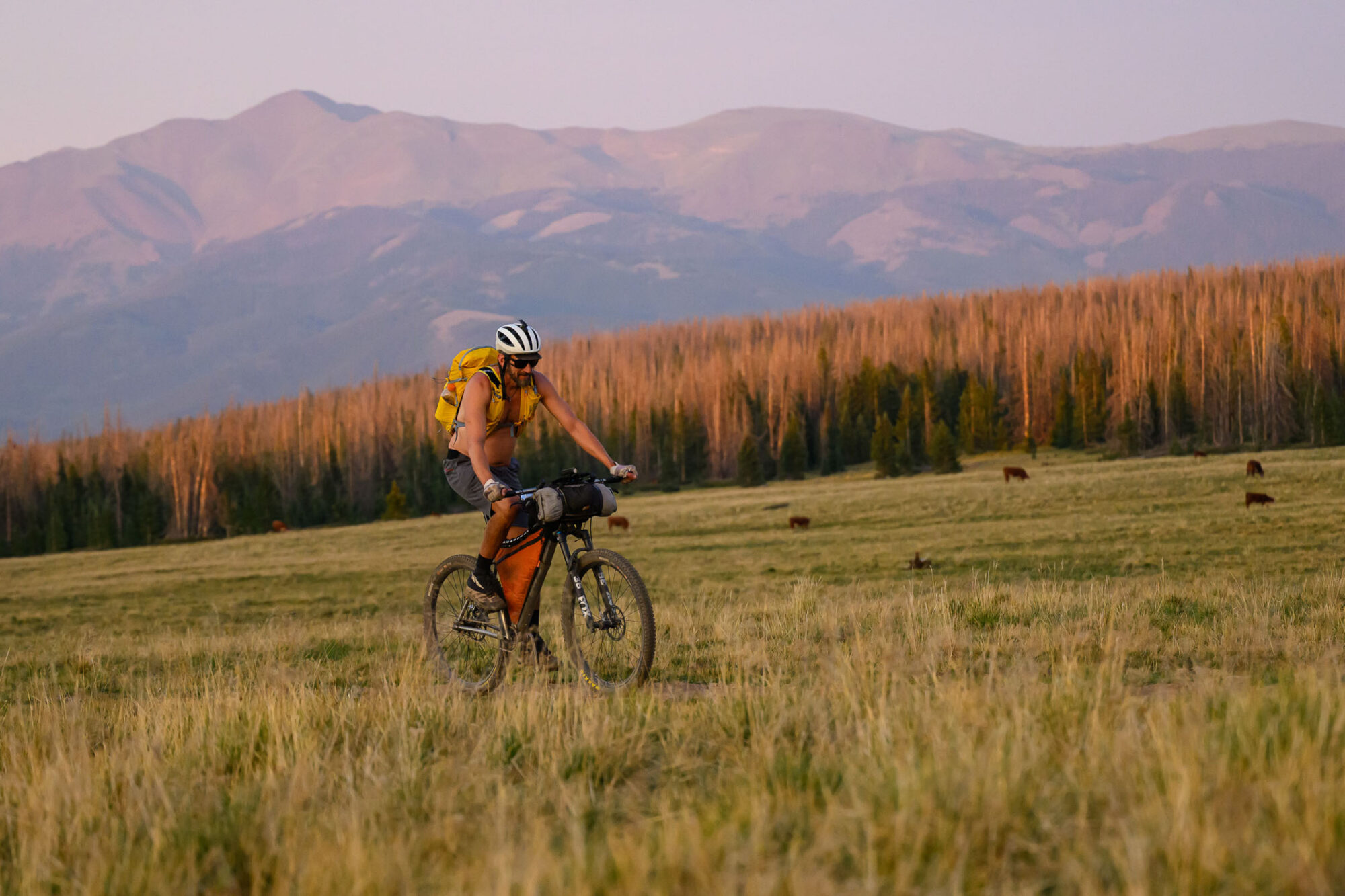 Matt Annabel 2026 CTR singlespeed win