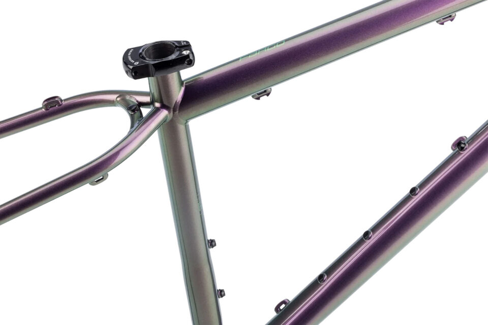 Salsa Fargo 32 Steel