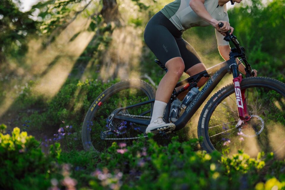 Santa Cruz Blur Gen 5