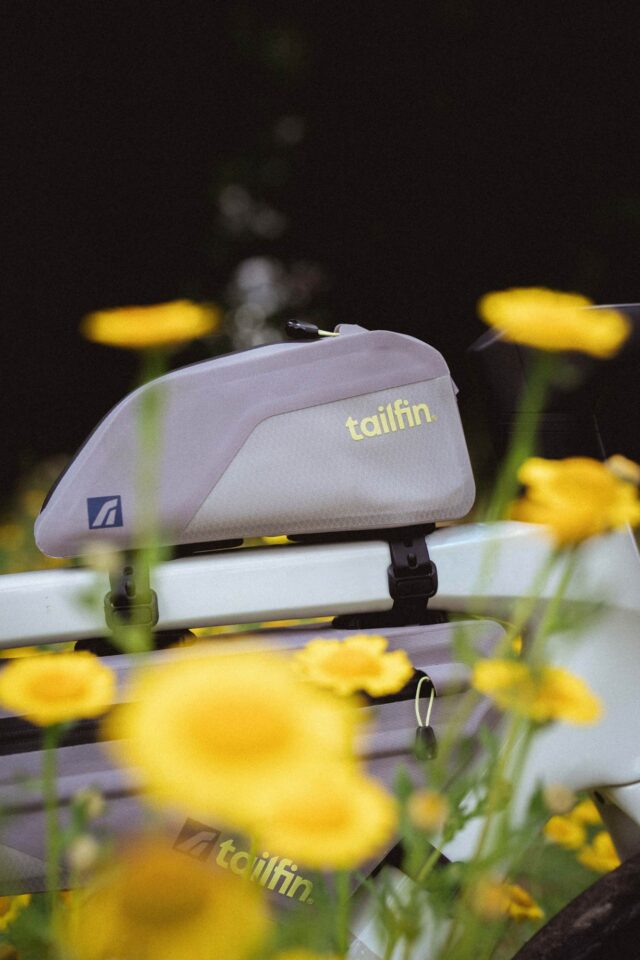Tailfin Colours Collection