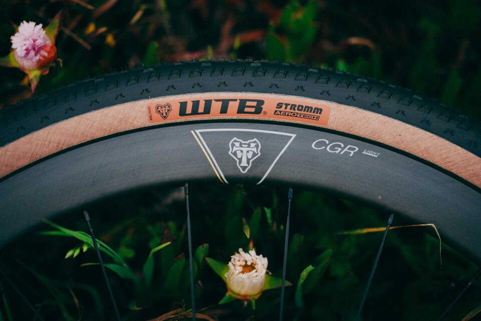 2026 WTB Tires