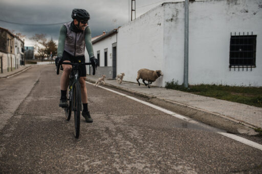 Al-Ballut Bikepacking Experience