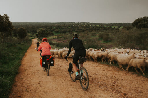 Al-Ballut Bikepacking Experience