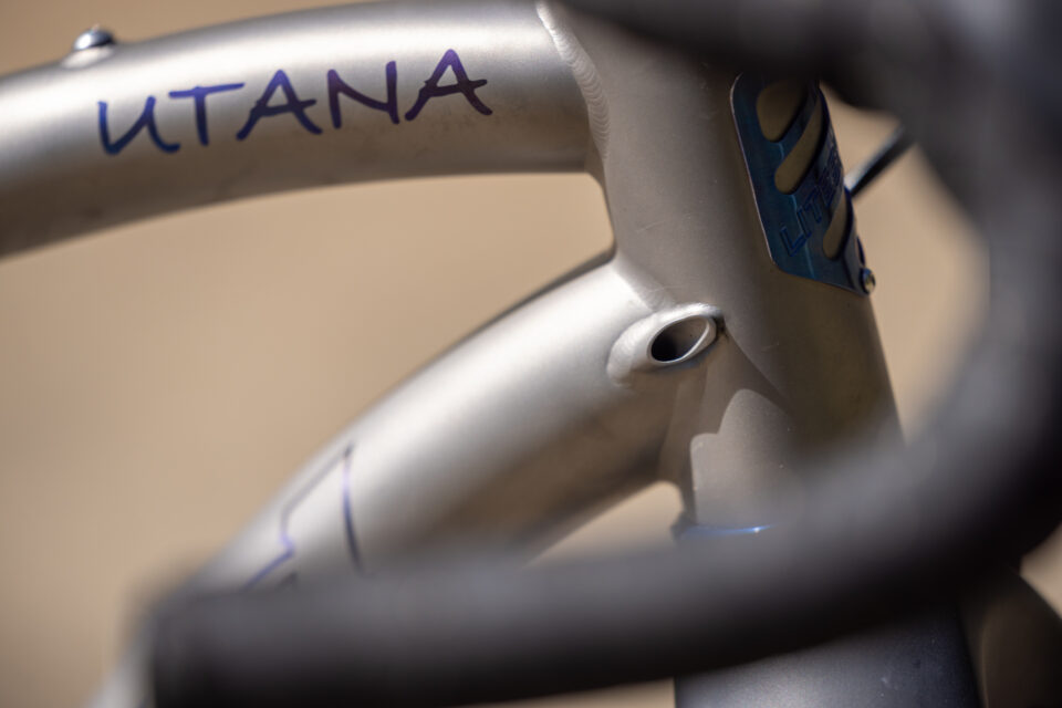 CRAFTED 2026, Litespeed