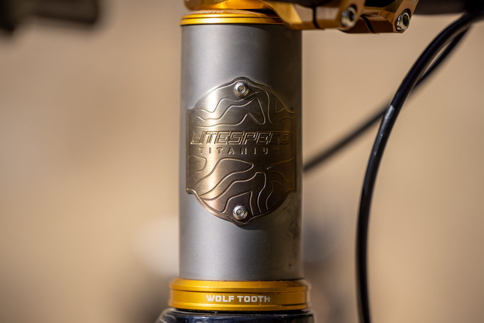 CRAFTED 2026, Litespeed