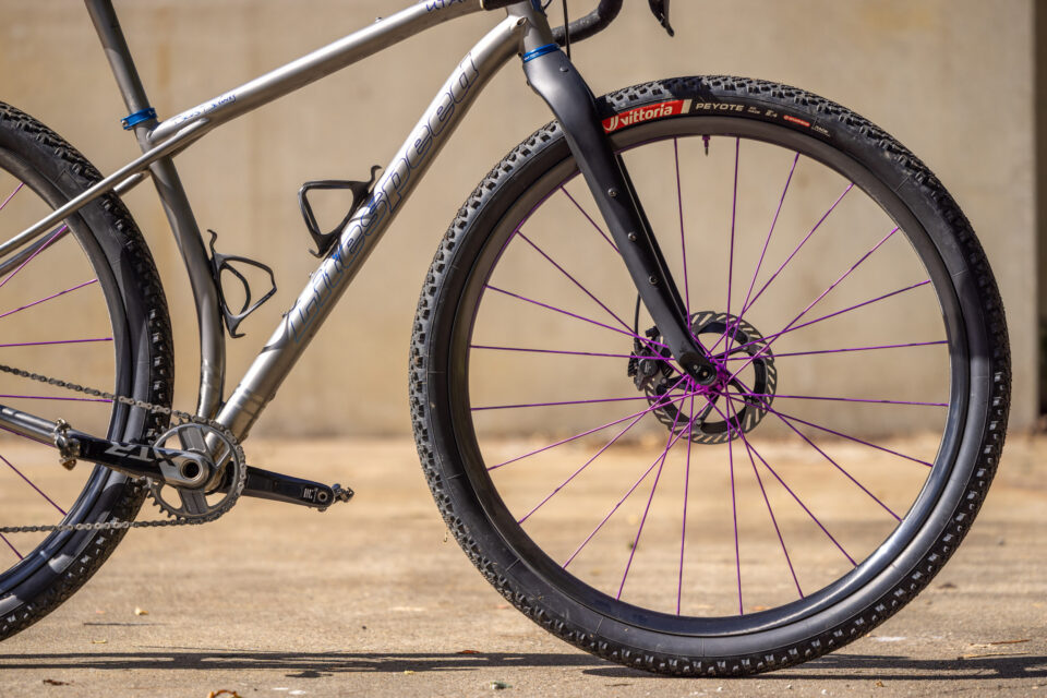 CRAFTED 2026, Litespeed