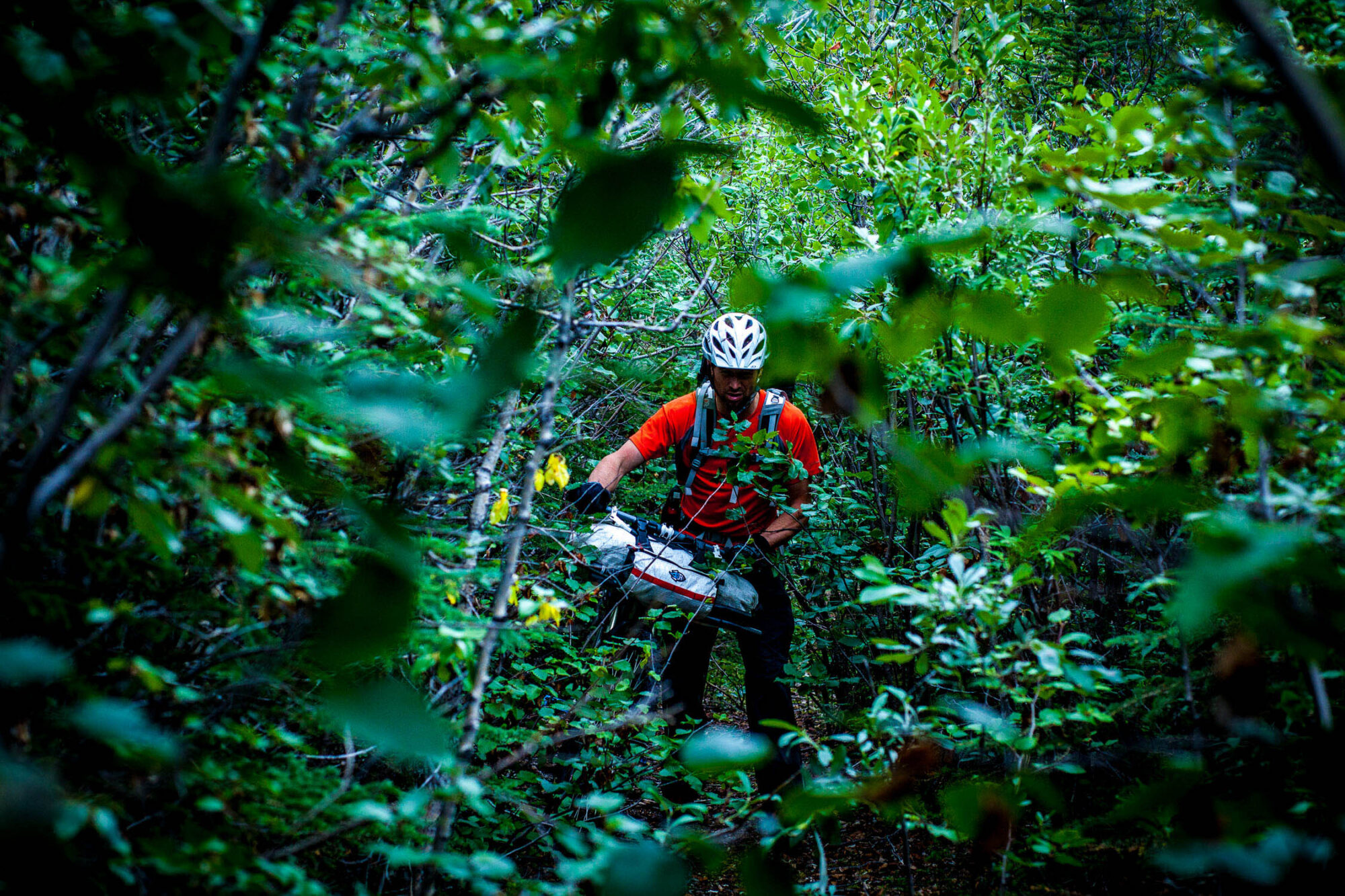 Chasing Windrider, Bikepacking Canol