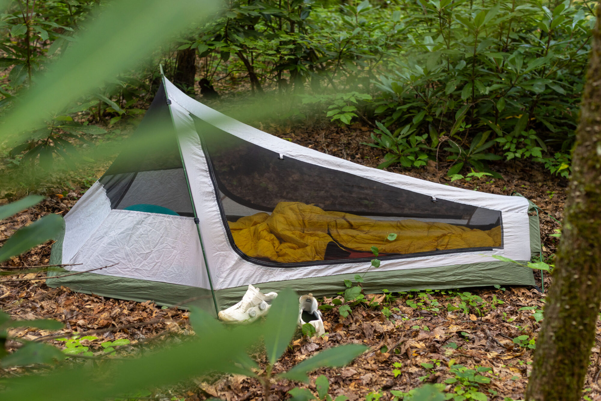 GeerTop Blazer Tent Review