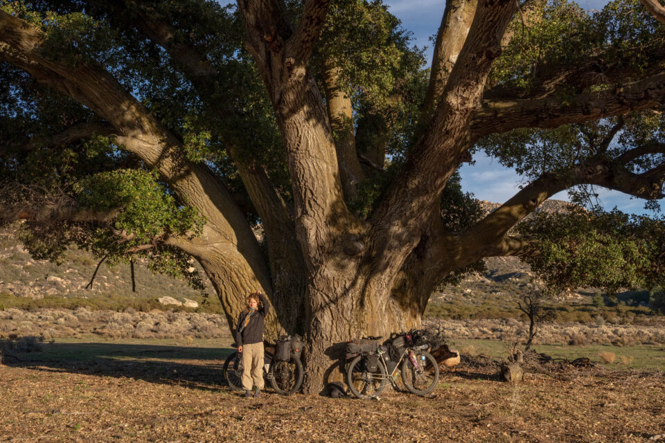 Bikepacking Lessons, Notes on Learning as You Go