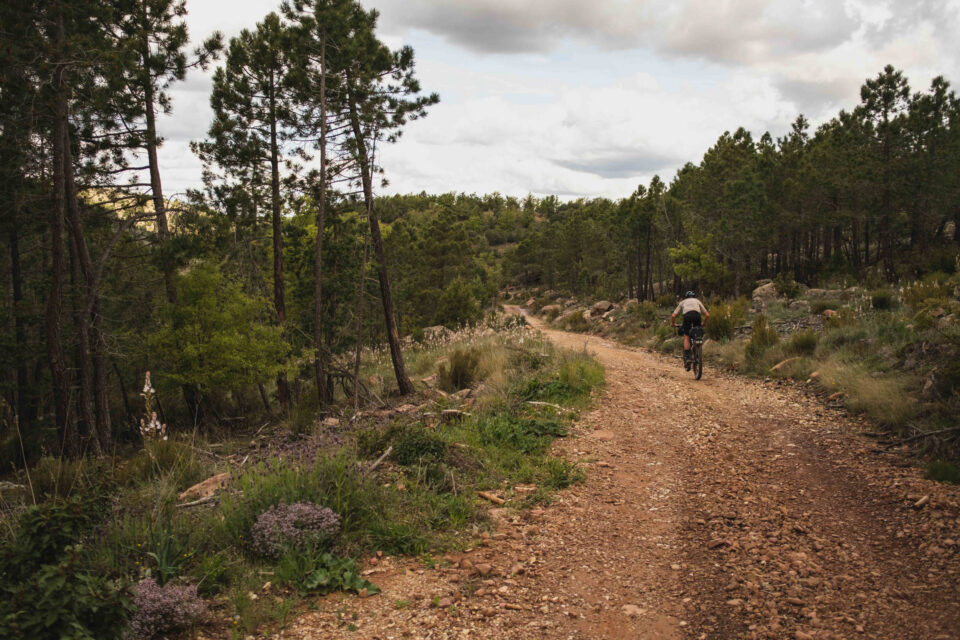 Nua Terra Pinion Review, Nua Roure Rohloff Review