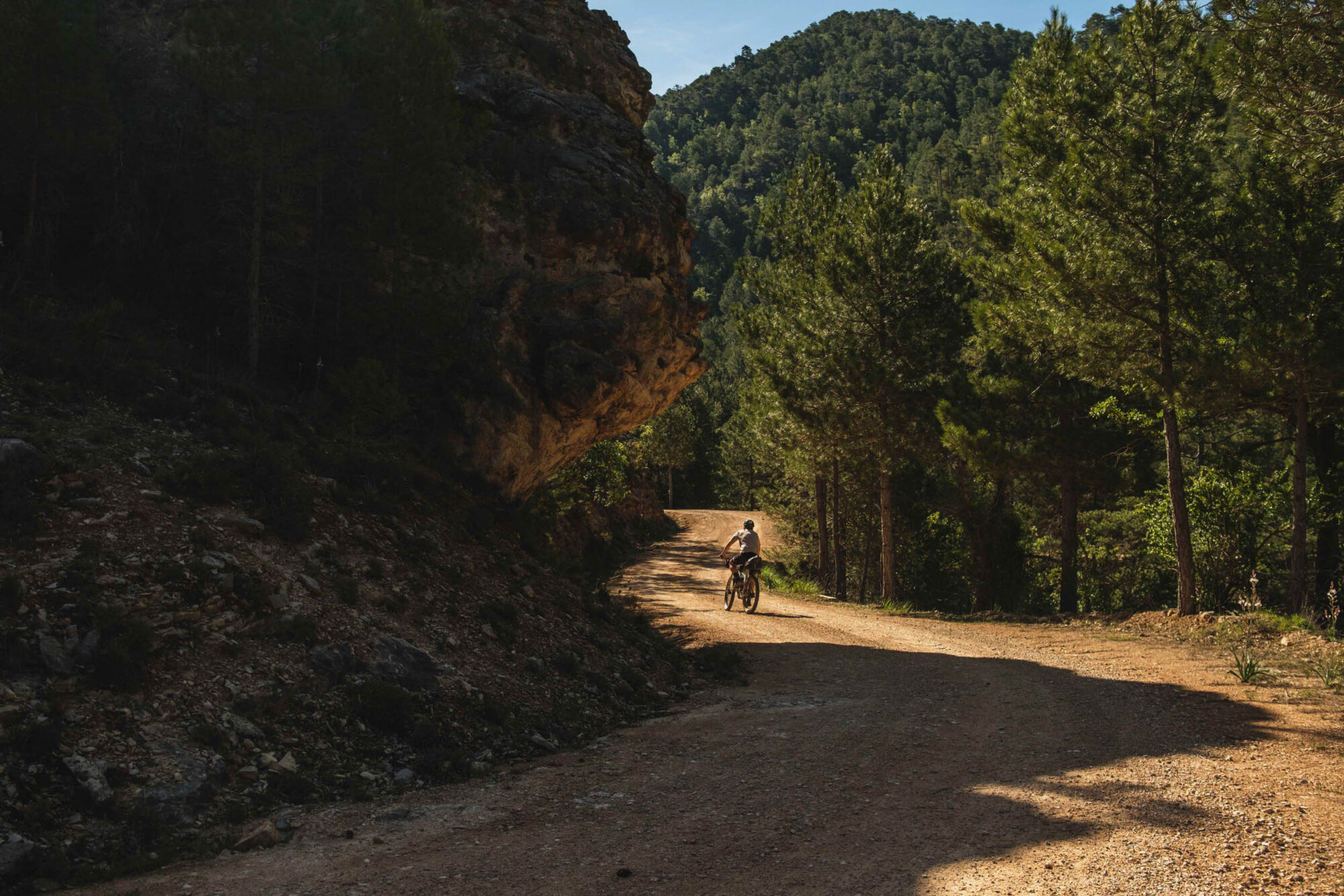 Nua Terra Pinion Review, Nua Roure Rohloff Review