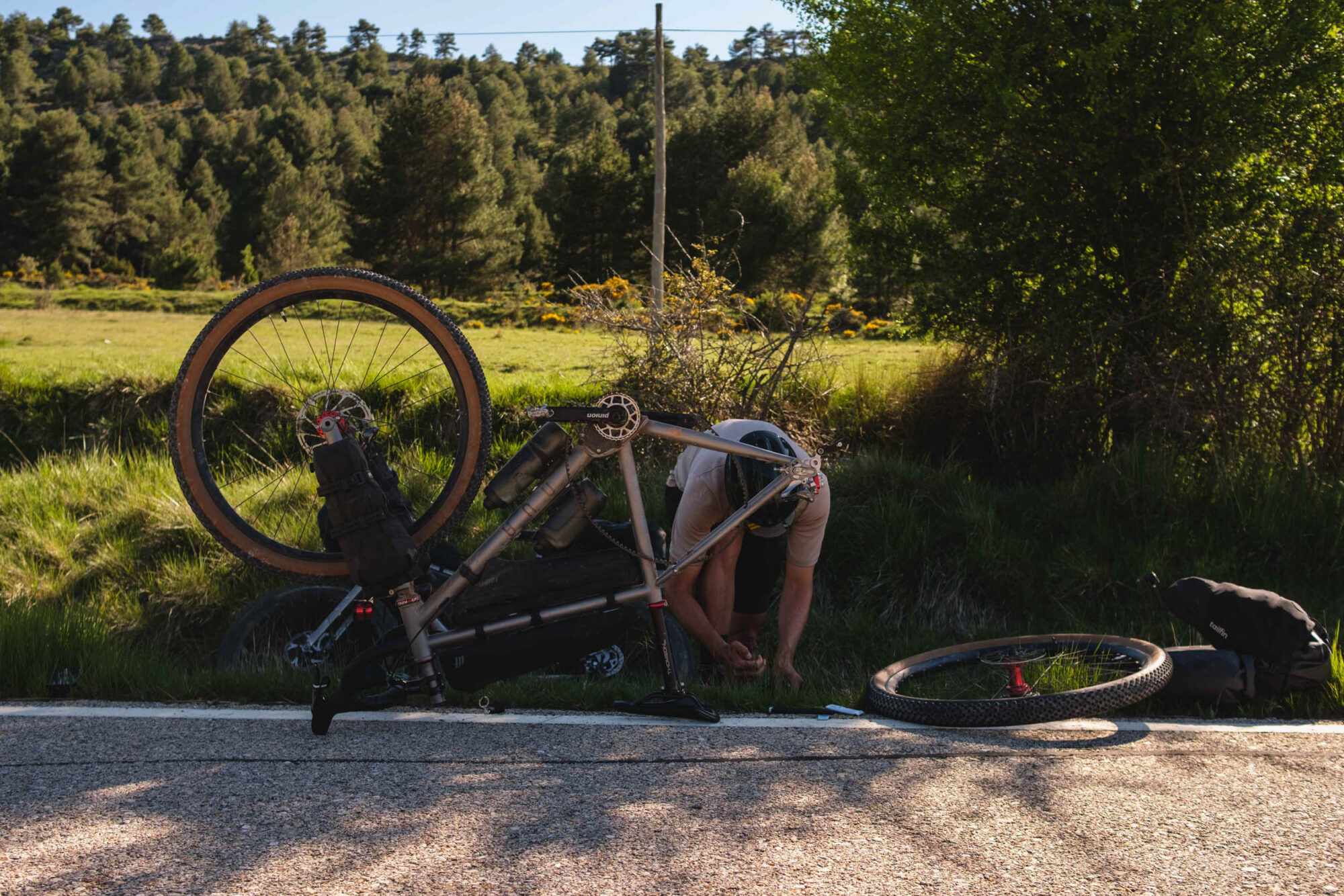 Nua Terra Pinion Review, Nua Roure Rohloff Review