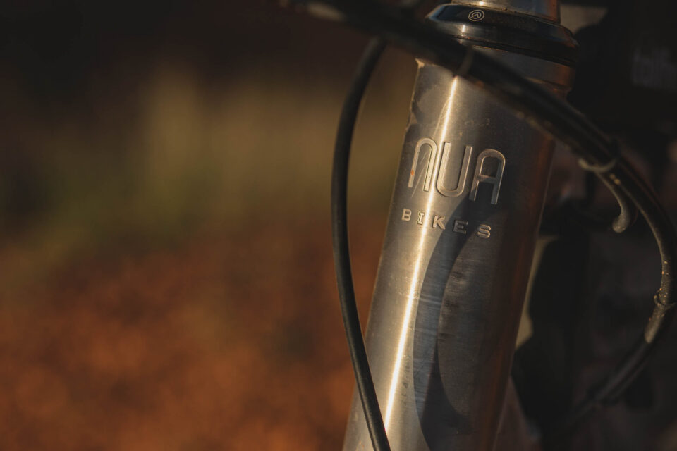 Nua Terra Pinion Review, Nua Roure Rohloff Review