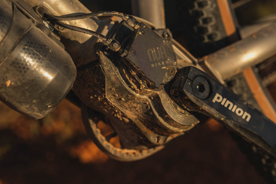 Nua Terra Pinion Review, Nua Roure Rohloff Review