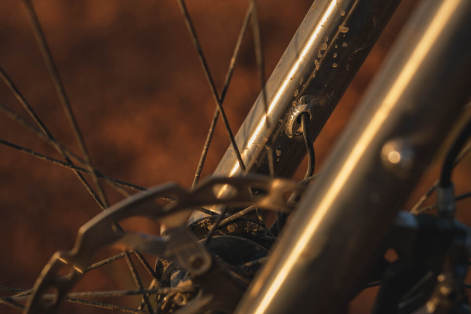 Nua Terra Pinion Review, Nua Roure Rohloff Review