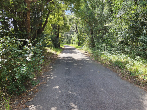 Olney Overnighter