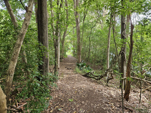 Olney Overnighter