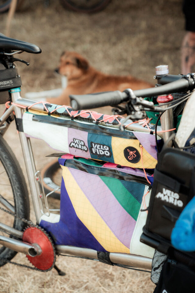 Pedaleo 2026 Recap