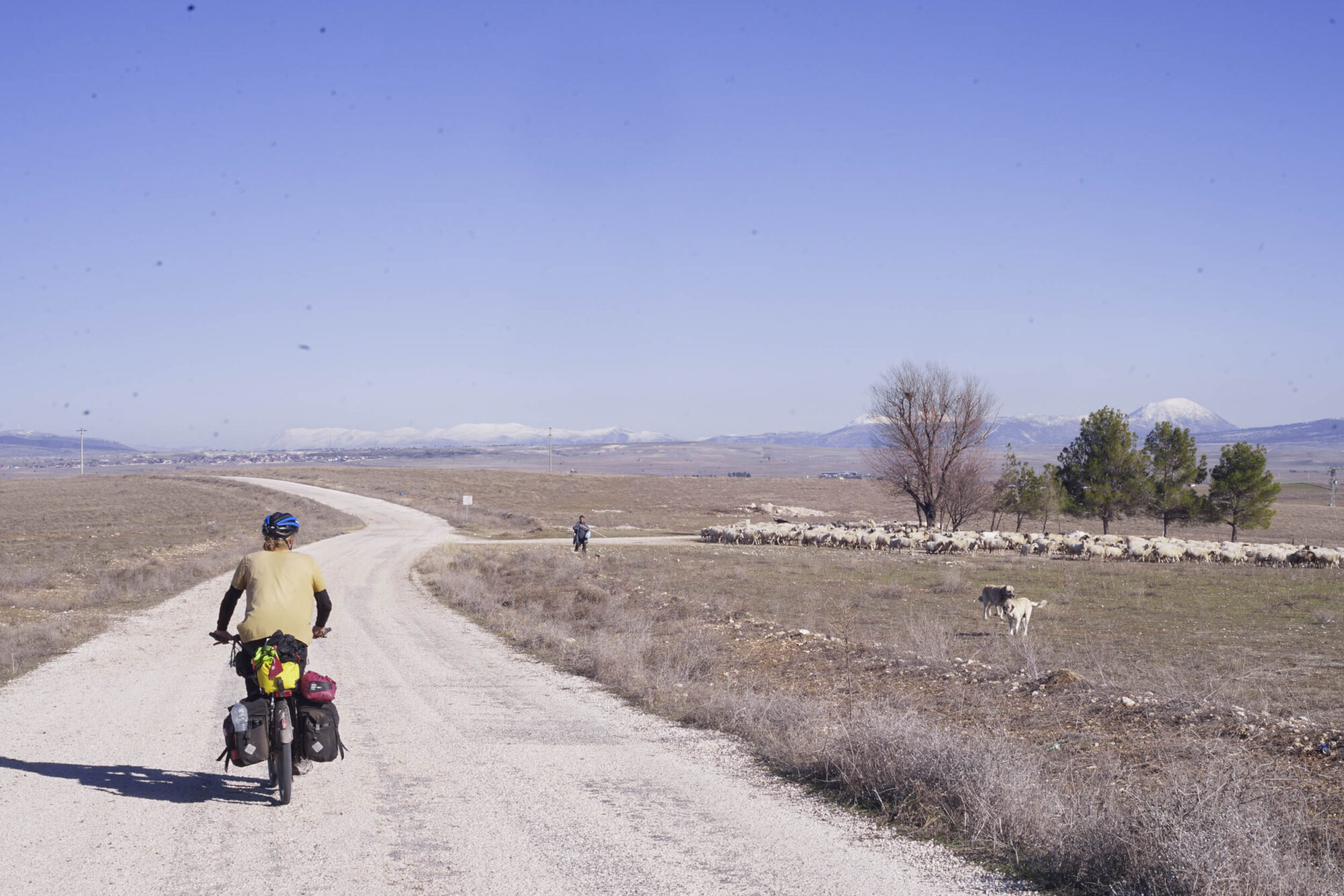 Surly Long Haul Trucker