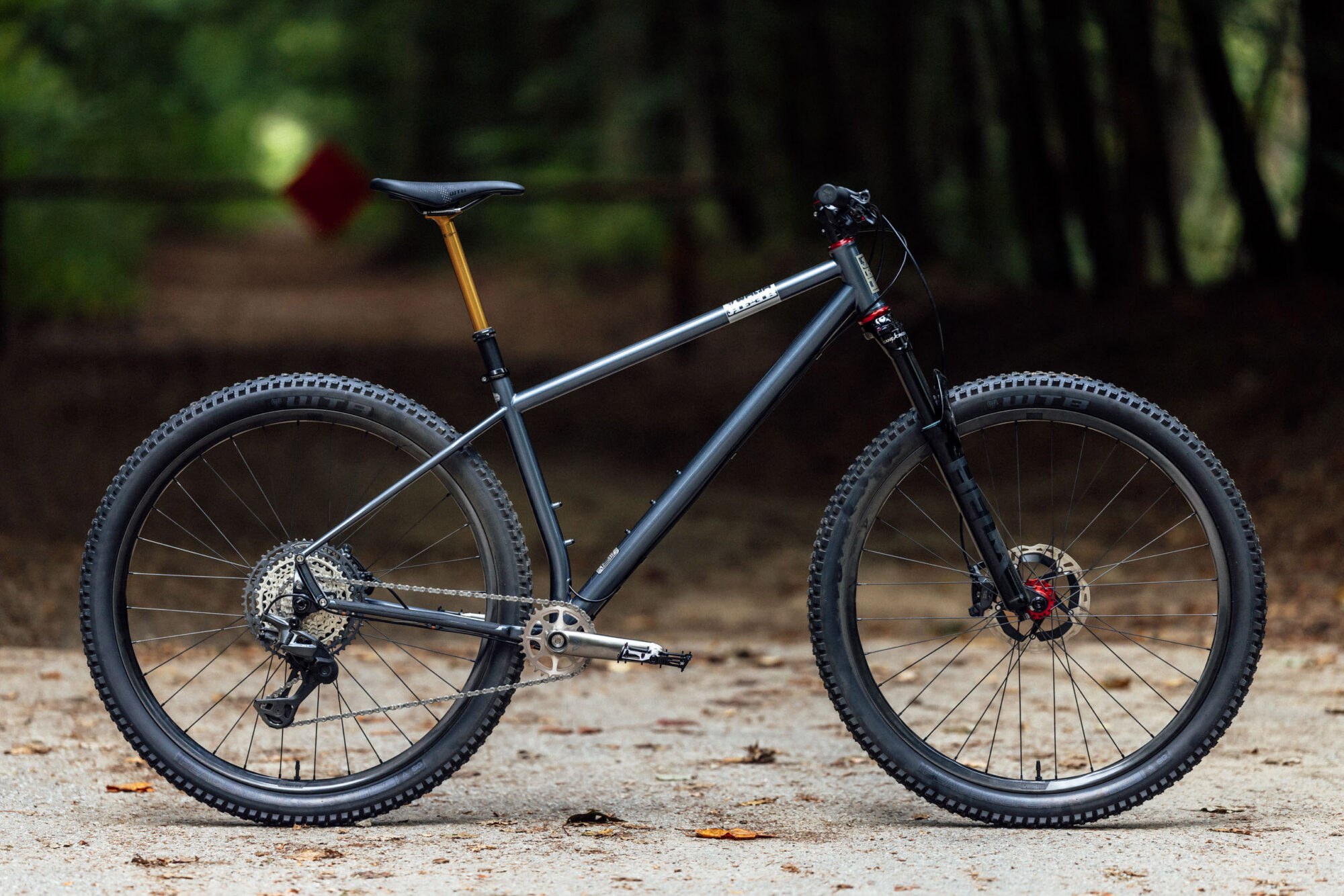 Pisgah Project Bike 2026, REEB Hall Pass