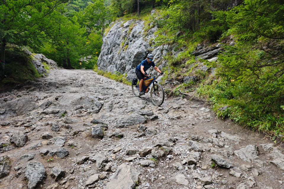 SingleBe Hardtail