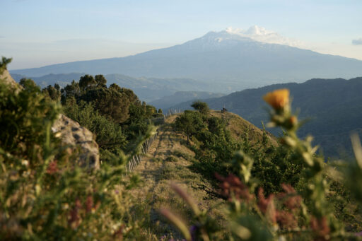 Sicilia Traversata Bikepacking Route