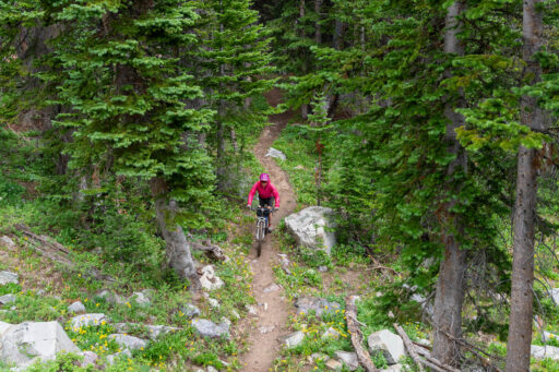 Through Fire to Snow bikepacking route