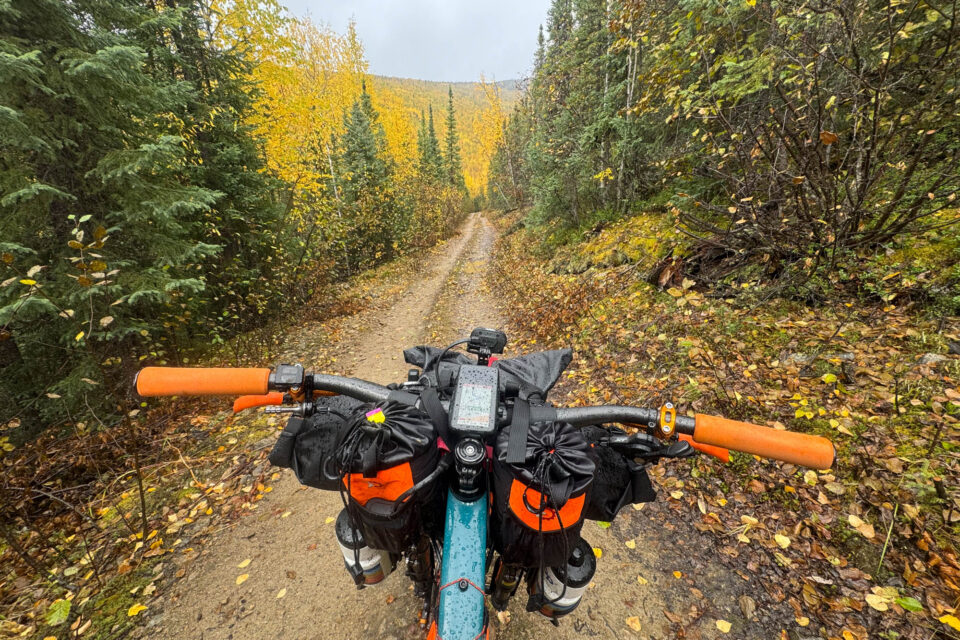 Weekend Snapshot