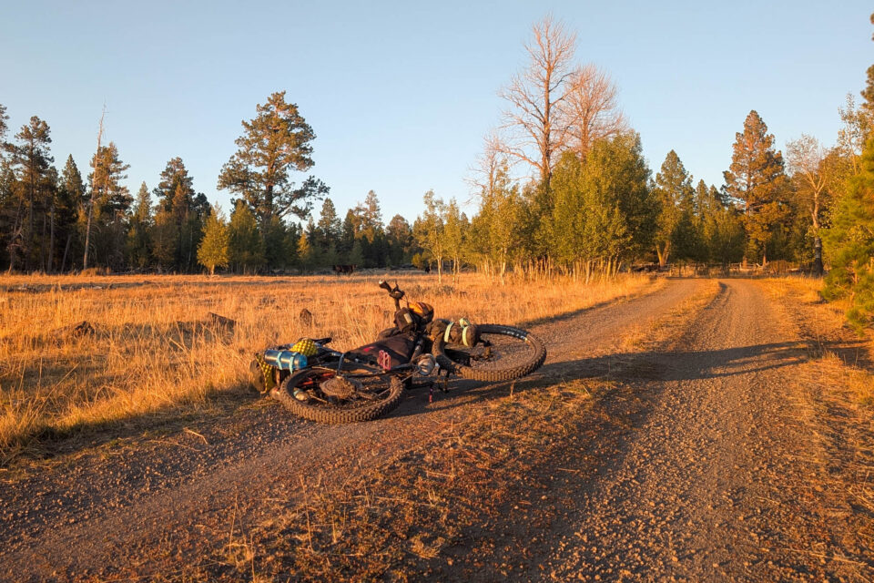Weekend Snapshot