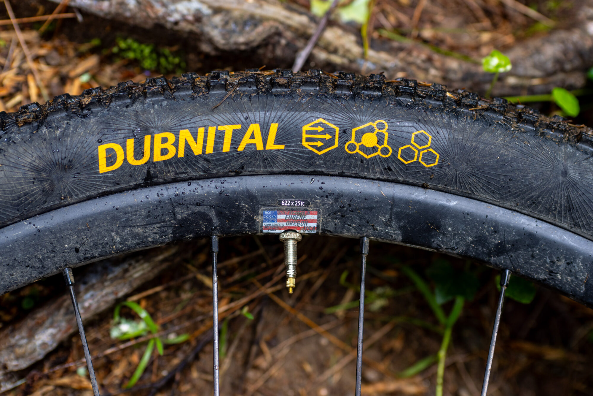 Continental Dubnital Review