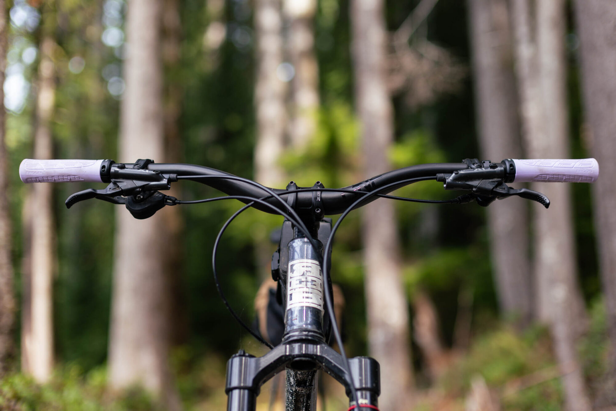 Ergon GMS Grips Review