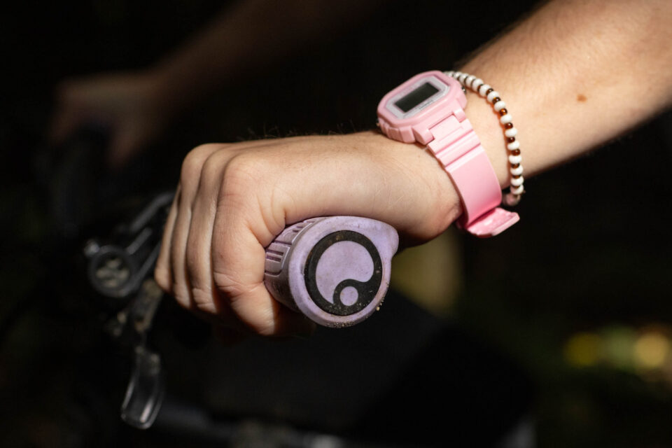 Ergon GMS Grips Review
