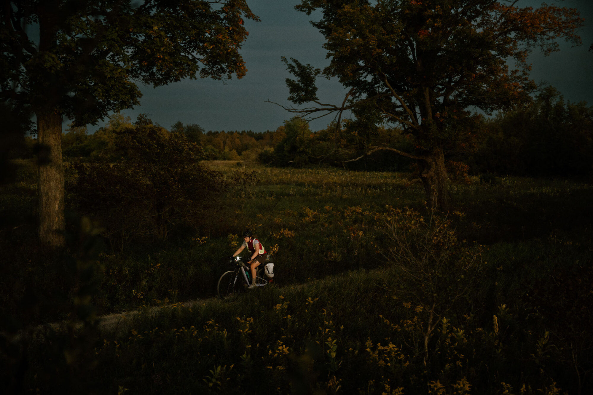 Golden horseshoe race 2026 update