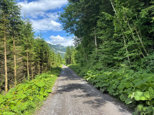 Gravel Challenge Across Switzerland