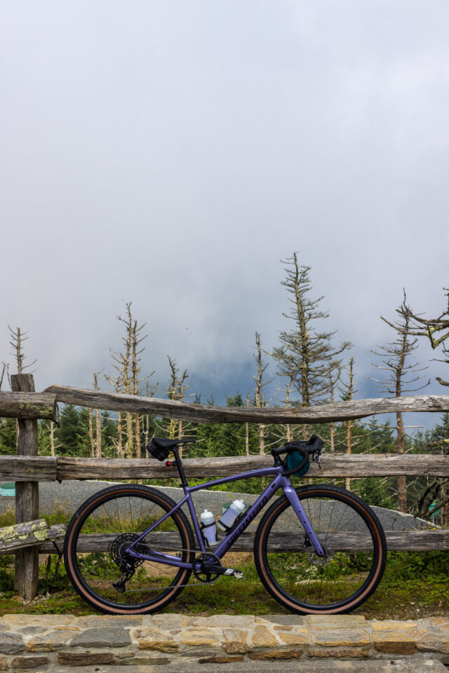 Specialized Diverge Review: Catch 22